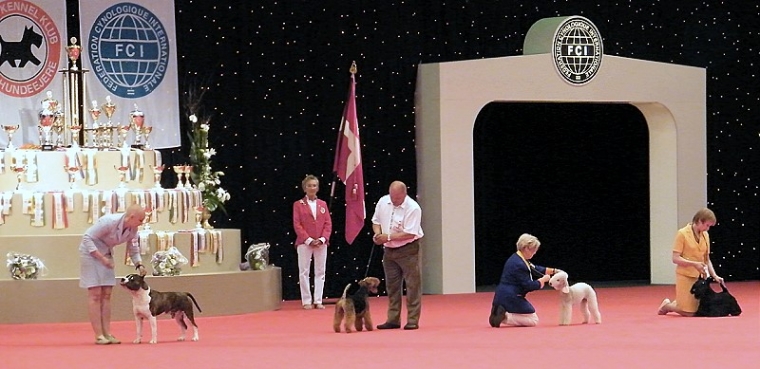 Wold Dog Show 2010